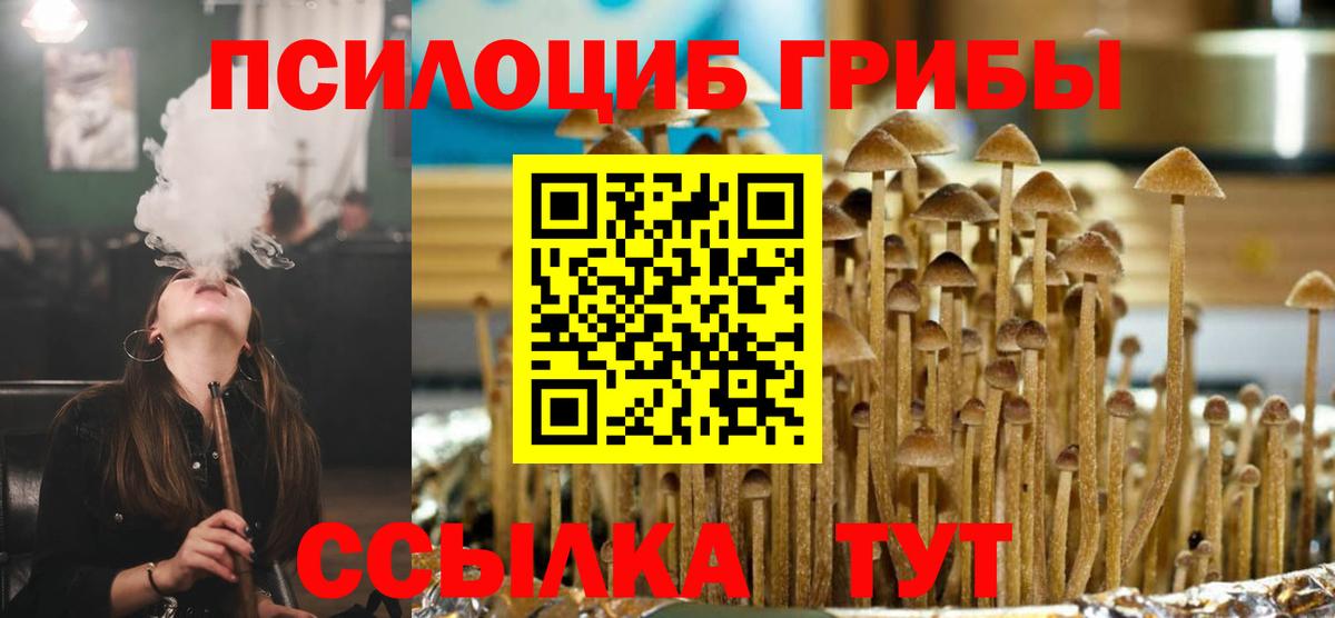 Галлюциногенные грибы прущие грибы Крымск